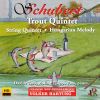 Download track Piano Quintet In A Major, Op. 114, D. 667 