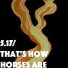 Download track That's How Horses Are