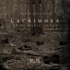 Download track Lacrimosa Or 13 Magic Songs IX. Madness