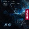 Download track I Like You (Deepsan Remix)