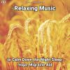 Download track Relaxing Music, Pt. 8