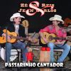 Download track Passarinho Cantador