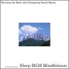 Download track Restful Embrace Of Sound Healing And Enchantment