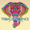 Download track Tribal America