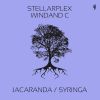 Download track Jacaranda