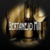 Download track Mix Sertanejo 18