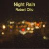 Download track Night Rain