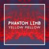 Download track Phantom Limb