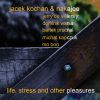 Download track Life, Stress And Other Pleasures