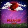 Download track Heavy Dreams