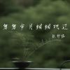 Download track 匆匆岁月细细地过 (伴奏)