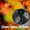 Download track Autumnal Hang Drum Equinox Meditation, Pt. 3