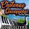 Download track Soy Soltero