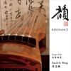 Download track Three Variations Of Plum Blossoms