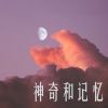 Download track 以为在等你