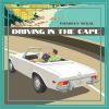 Download track Driving In The Cape