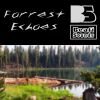 Download track Forrest Echoes (Radio Edit)