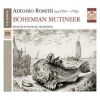 Download track 10. Concerto For Violin And Orchestra In D Minor (Murray C9). - Rondo. Moderato (3rd)