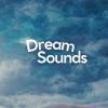 Download track Dreamy Ocean Waters