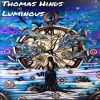 Download track Luminous