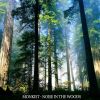 Download track Noise In The Woods (Original Mix)