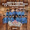 Download track Crucillo Estrada (En Vivo)