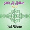 Download track Sahih Al Bukhari Part 13, Pt. 3