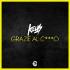 Download track Grazie Al Cazzo