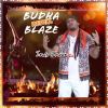 Download track Budha Blaze (Remix)