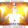 Download track Immersion - LiveElec - Benny WHITE - Wonderful World