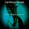 Download track Groovy Solo Piano Jazz - Vibe For Resting Cats