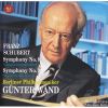 Download track Symphonie Nr. 9 C-Dur (Große), D. 944: I. Andante. Allegro Ma Non Troppo