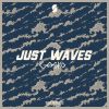 Download track Just Waves