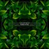 Download track Green Sense (Dynamic Illusion Blue Haze Mix)