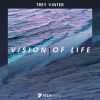 Download track Vision Of Life