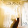 Download track Light (Surrender To The Flow)