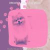 Download track Vivacious Solo Piano Jazz - Vibe For Doggy Training