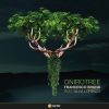 Download track Onirotree, Nanourisma