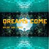 Download track Dreams Come