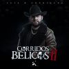 Download track Por Los Emiratos