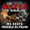 Download track Me Gusta Ponerle Al Polvo