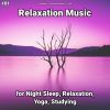 Download track Relaxation Music, Pt. 8