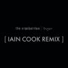 Download track Linger (Iain Cook Remix / Edit)