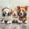 Download track Playful Beats For Pets