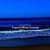 Download track Exclusive Tropical Waves