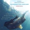 Download track Underwater Dreams (Induction Effect Remix)