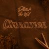 Download track Cinnamon (Radio Edit)