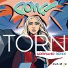 Download track Torn