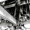 Download track REV