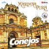 Download track Chapicumbias 2: Ritmos Y Palmeras / Cobanerita / Concepción Tutuapa / La Tempestad